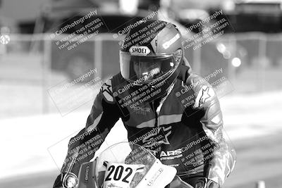 media/Feb-23-2025-2WTD (Sun) [[9604a77d5d]]/1-Around the Pits/